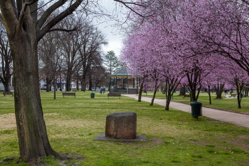 Robertson Park